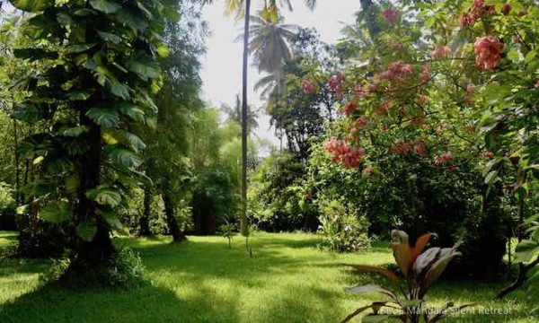 Ein einzigartiges Silent Retreat auf Bali - Das Blue Mandala Silent Retreat